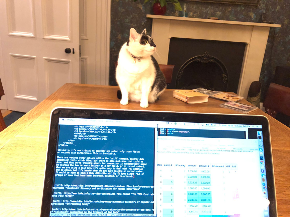 Alfie, our Social Media Manager, inspects progress on the blog post.